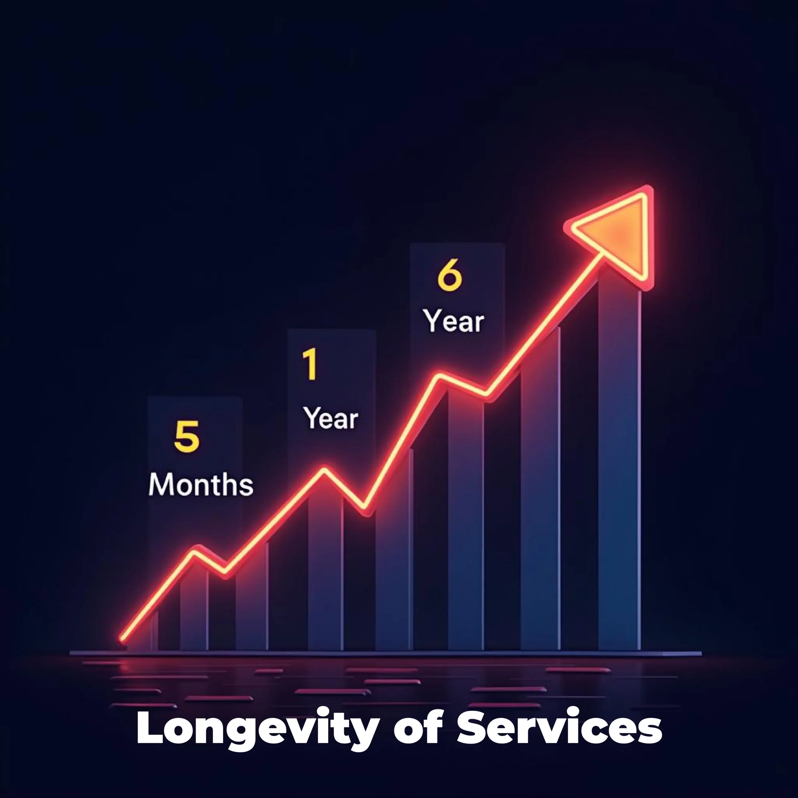 SEO Agency in Bangalore